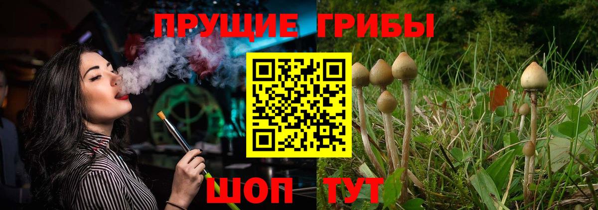 Псилоцибиновые грибы Magic Shrooms Дагестанские Огни